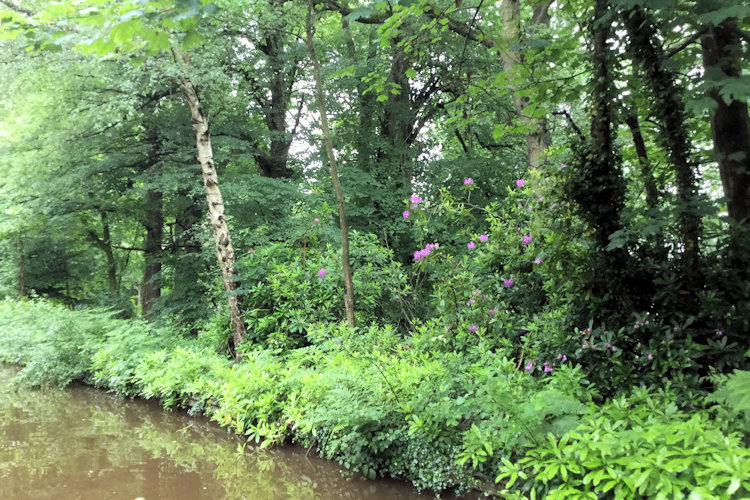 Blakemere photograph